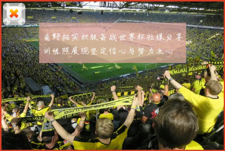 南野拓实积极备战世界杯社媒分享训练照展现坚定信心与努力决心